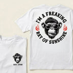 I'm A Freaking Ray Of Sunshine Custom Est.Year T-Shirt