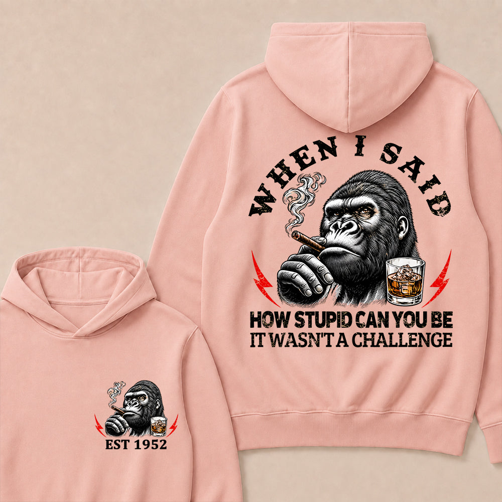 When I Said How Stupid Can You Be It Wasn't A Challenge Custom Est.Year Hoodie